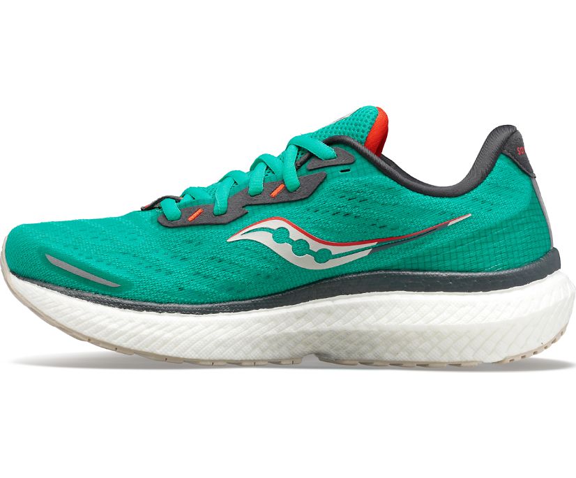 Saucony Triumph 19 Women's Running Shoes Mint | Canada 210WNBY